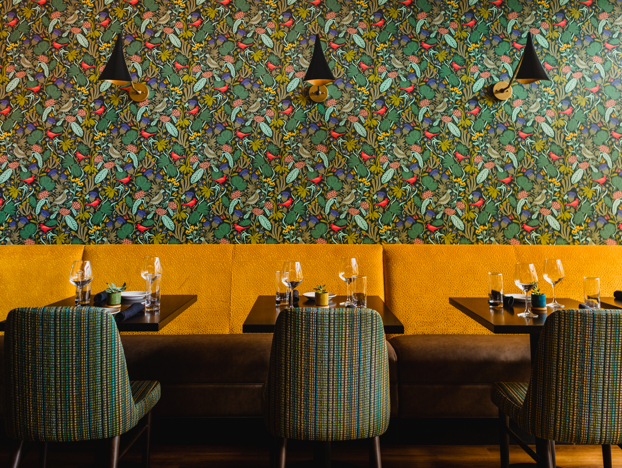 St. Patrick’s Day at Peck & Plume